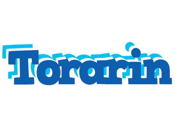Torarin business logo