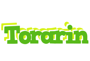Torarin picnic logo