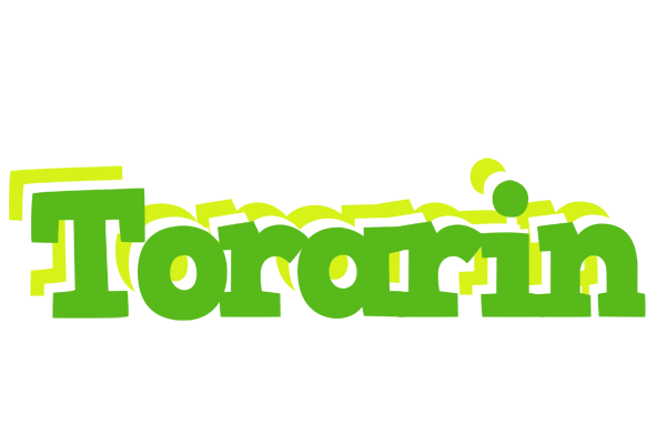 Torarin picnic logo