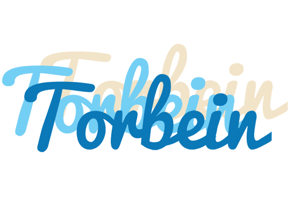 Torbein breeze logo