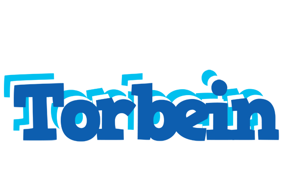 Torbein business logo