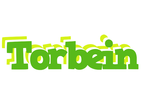 Torbein picnic logo