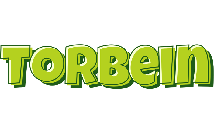 Torbein summer logo