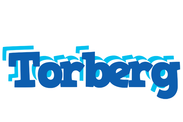 Torberg business logo