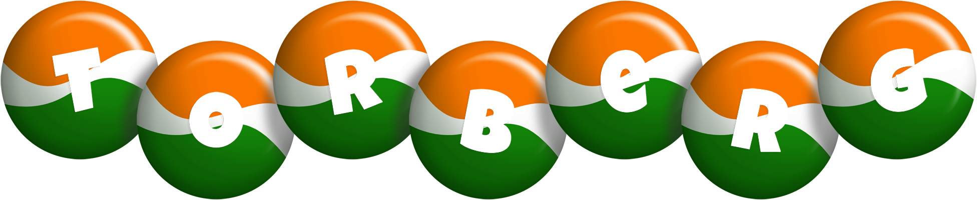 Torberg india logo