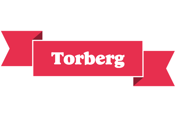 Torberg sale logo