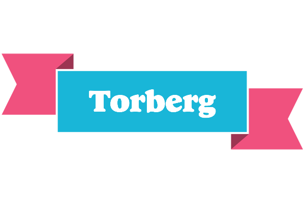 Torberg today logo