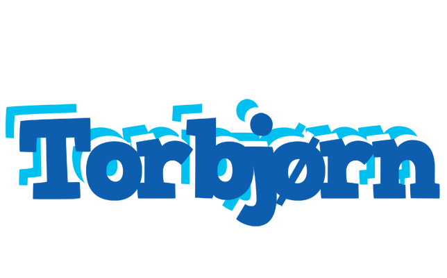 Torbjørn business logo
