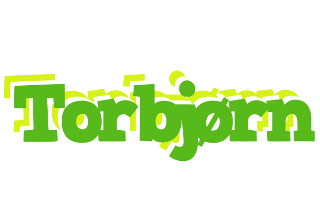 Torbjørn picnic logo