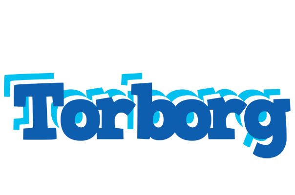 Torborg business logo