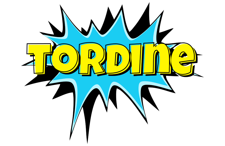 Tordine amazing logo