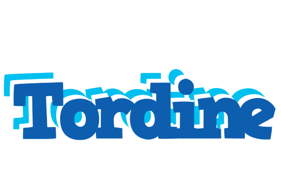 Tordine business logo