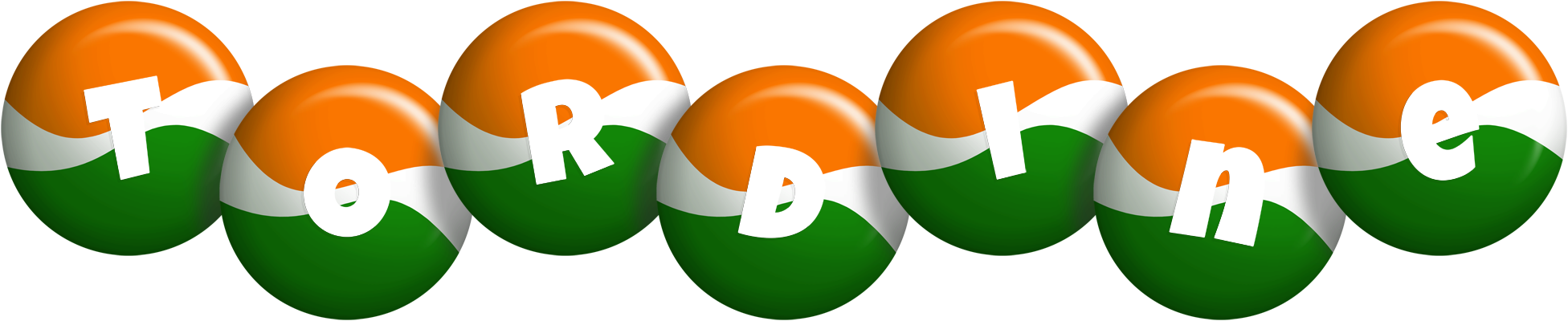 Tordine india logo