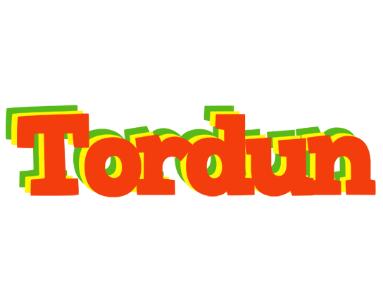 Tordun bbq logo