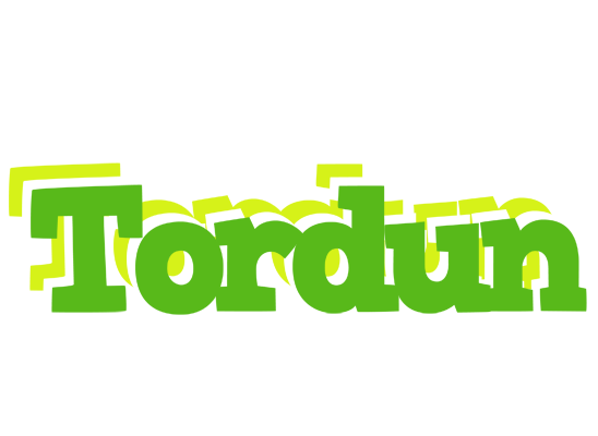 Tordun picnic logo