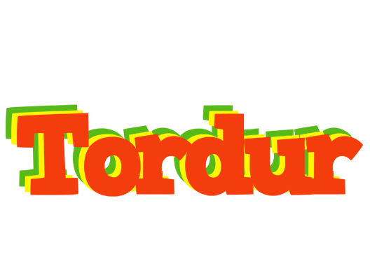 Tordur bbq logo