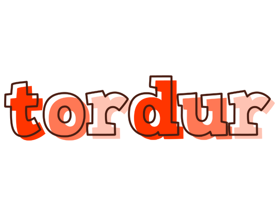 Tordur paint logo