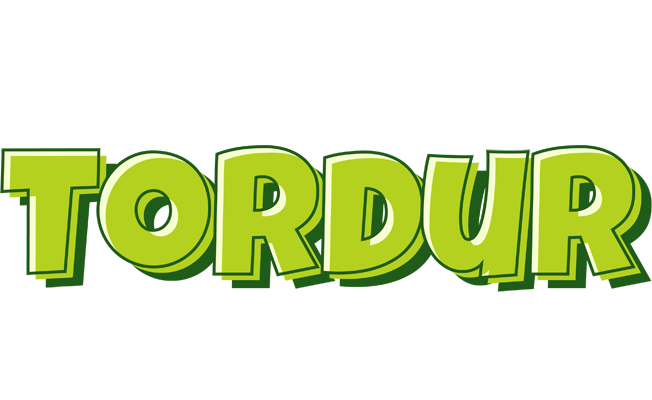 Tordur summer logo