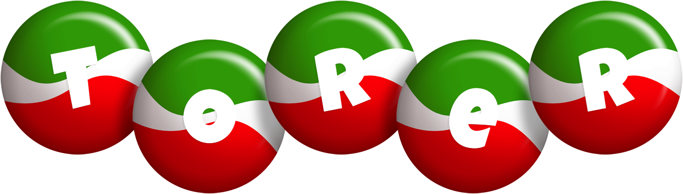 Torer italy logo