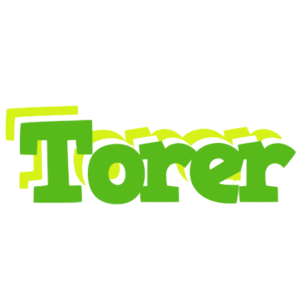 Torer picnic logo