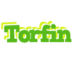 Torfin picnic logo