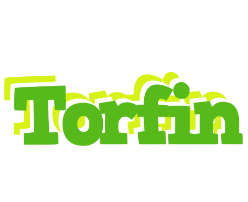 Torfin picnic logo