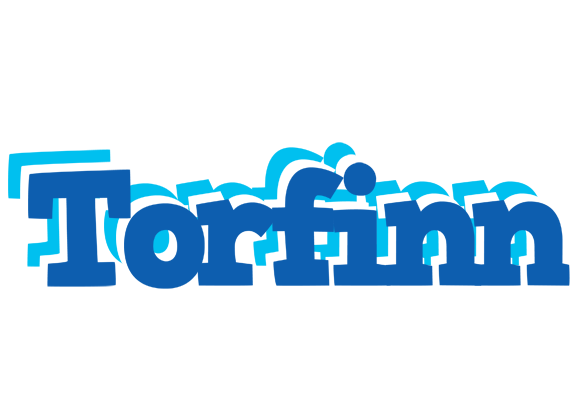 Torfinn business logo