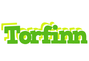 Torfinn picnic logo