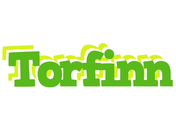 Torfinn picnic logo