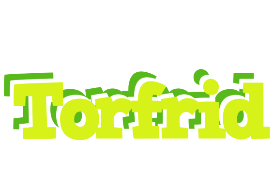 Torfrid citrus logo