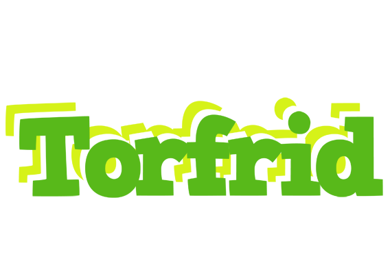 Torfrid picnic logo