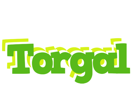 Torgal picnic logo