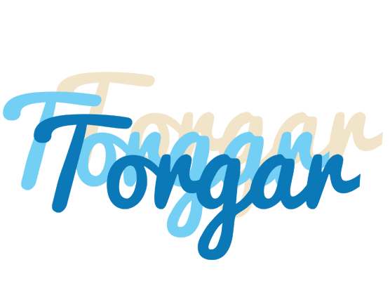 Torgar breeze logo