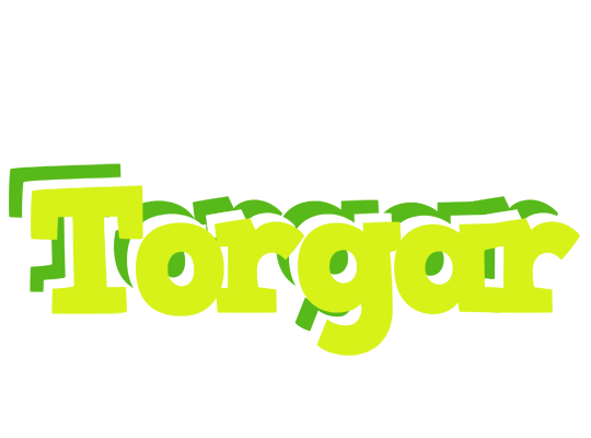 Torgar citrus logo
