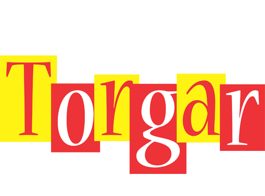 Torgar errors logo