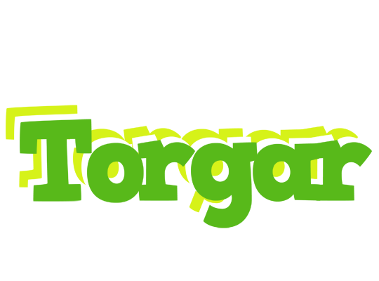 Torgar picnic logo