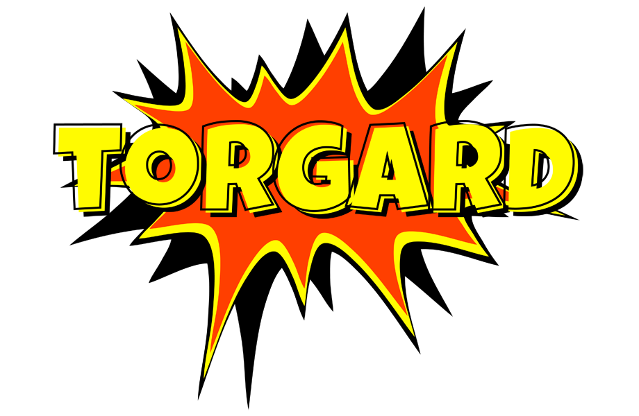 Torgard bazinga logo