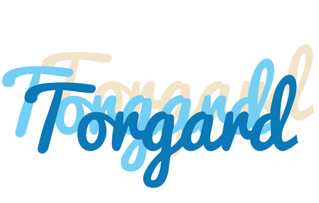 Torgard breeze logo