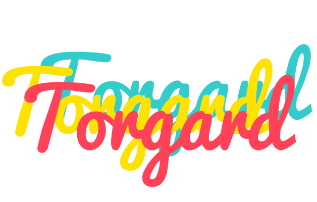 Torgard disco logo