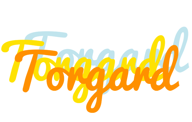 Torgard energy logo