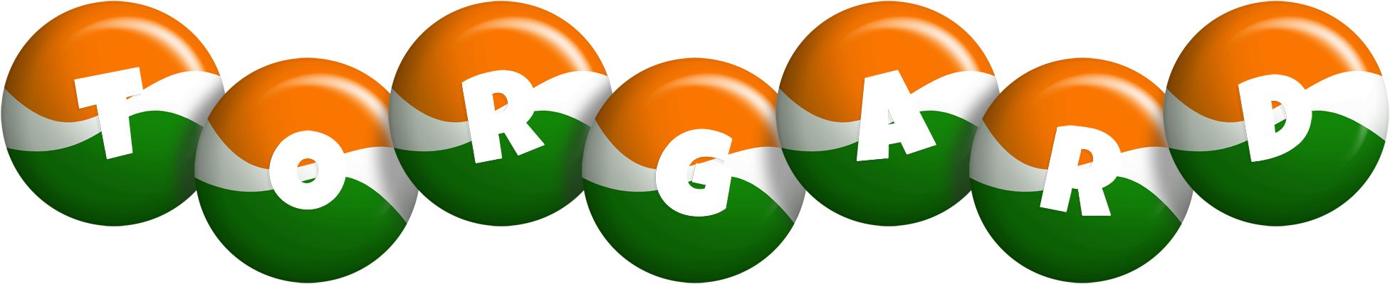Torgard india logo