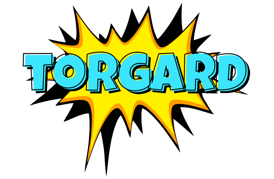 Torgard indycar logo