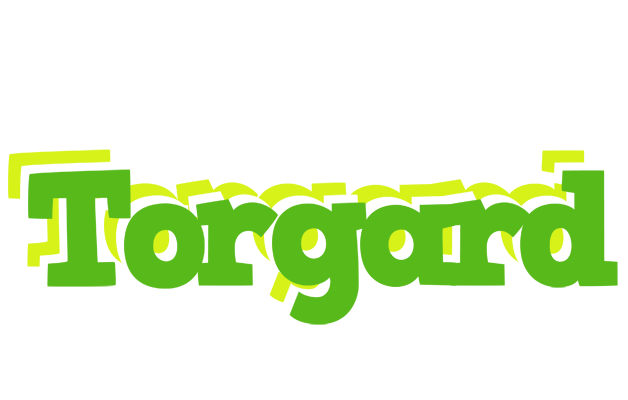 Torgard picnic logo