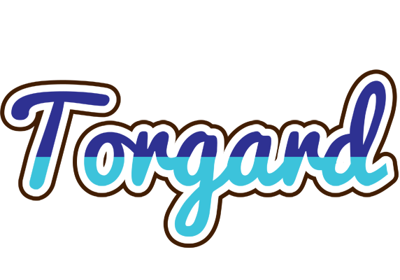 Torgard raining logo