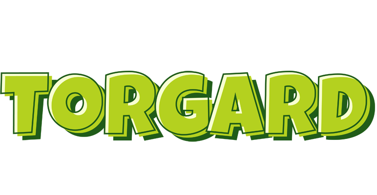 Torgard summer logo