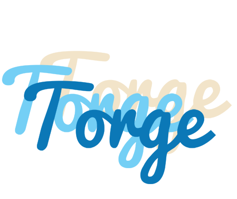 Torge breeze logo