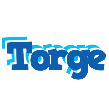 Torge business logo