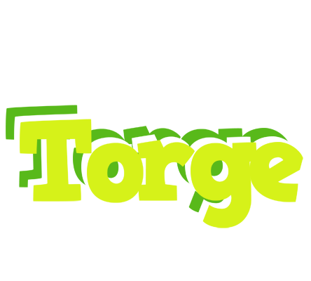 Torge citrus logo