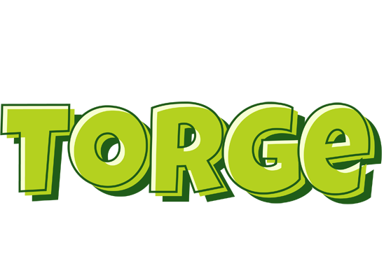 Torge summer logo