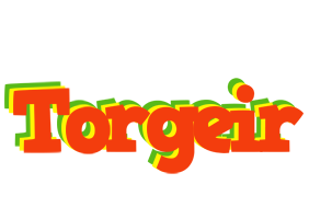 Torgeir bbq logo